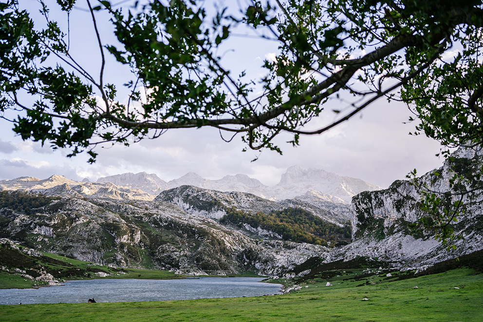 Picos de Europa